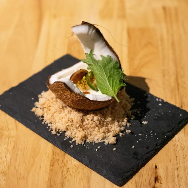 A coconut dessert with green garnish and sauce, served on a bed of brown sugar on a slate.